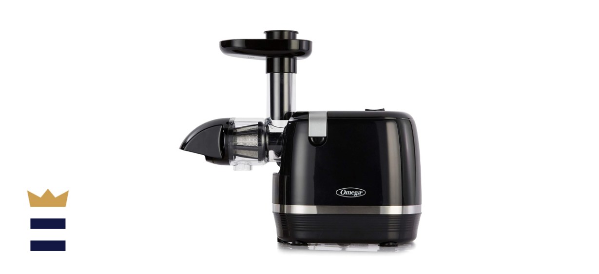 Omega H3000D Cold Press Slow Masticating Extractor