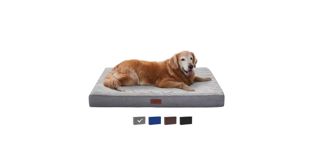 Ophanie Orthopedic Dog Bed