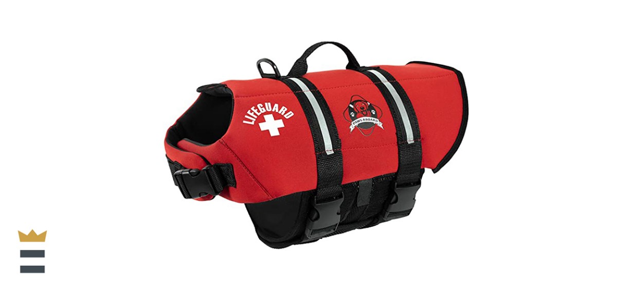 Paws Aboard Dog Life Jacket