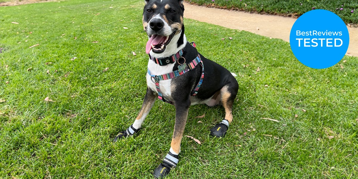 QUMY Dog Shoes