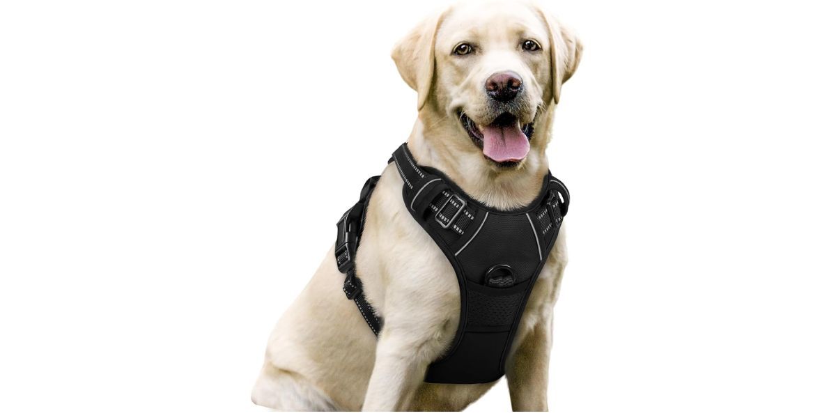 rabbitgoo Dog Harness