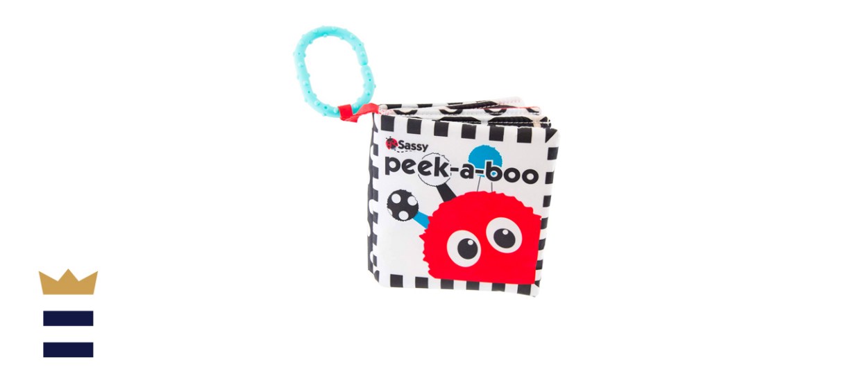 Sassy Peek-a-Boo Activity Book