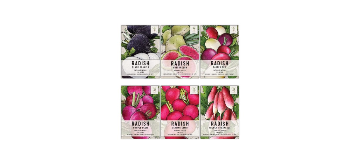 radishes