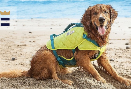 Which dog life jacket is best for the beach?