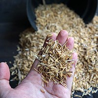 Dyk3-adult body powder