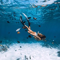 diving fin2