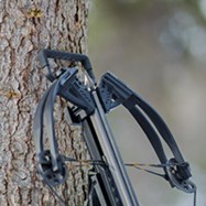fixed broadhead2