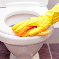 toilet bowl cleaners