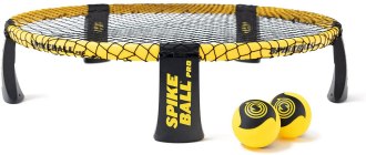 Spikeball Pro Kit
