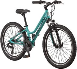 Schwinn