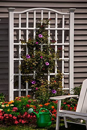 New England Arbors Grande 54" x 90" Vinyl Trellis