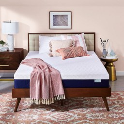 Tempur-Pedic