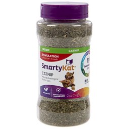 SmartyKat