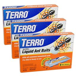 Terro