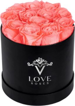VLove
