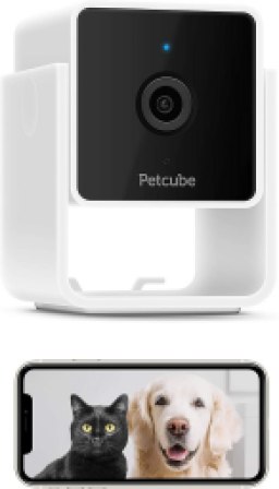 Petcube