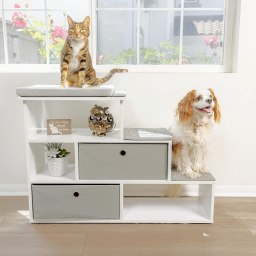 PetFusion