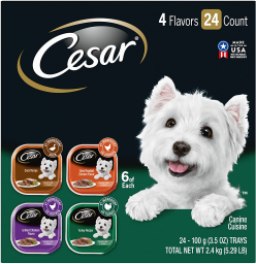 Cesar