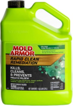 Mold Armor