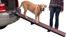 Pet Gear