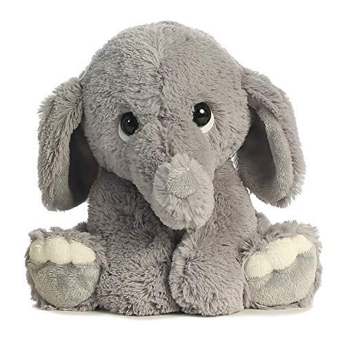 ebba Lil Benny Phant