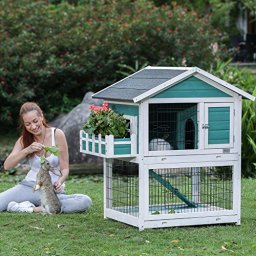 Petsfit