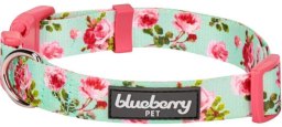 Blueberry Pet
