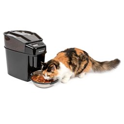 PetSafe
