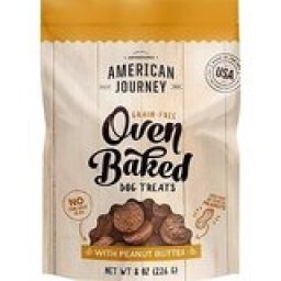 American Journey