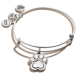 Alex and Ani
