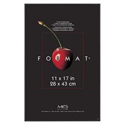 Format by MCS Industries