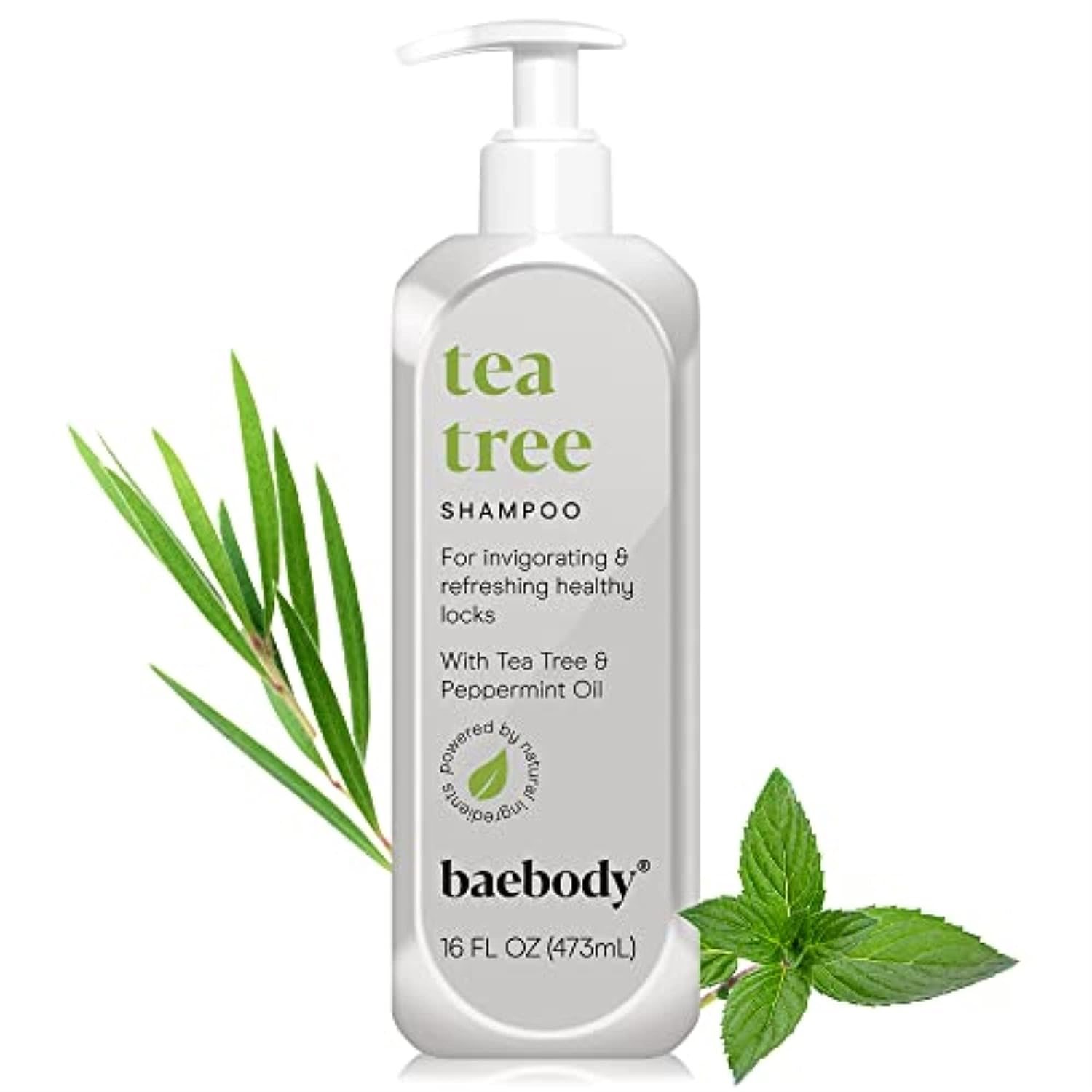 Baebody Moroccan Argan Oil Shampoo