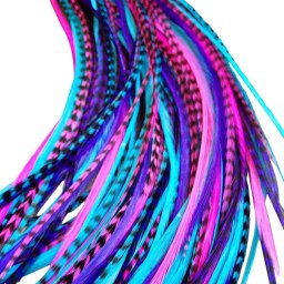 Feather Lily