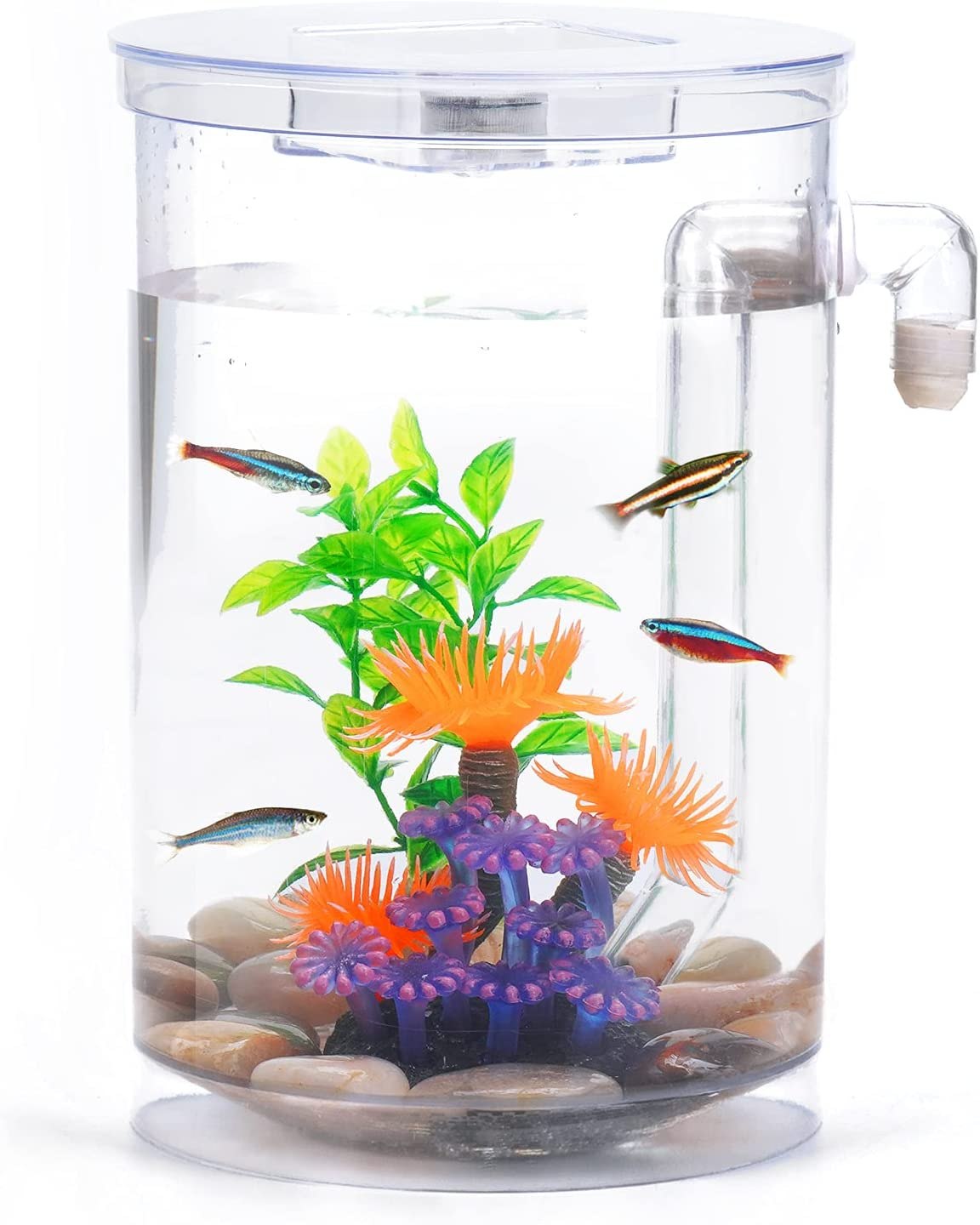 Oltraman 360 Aquarium with LED Light