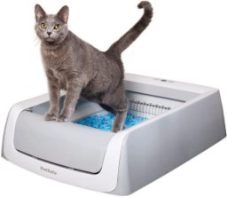 PetSafe