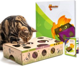 Cat Amazing