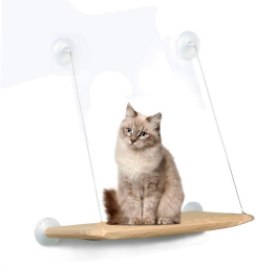 PETPAWJOY