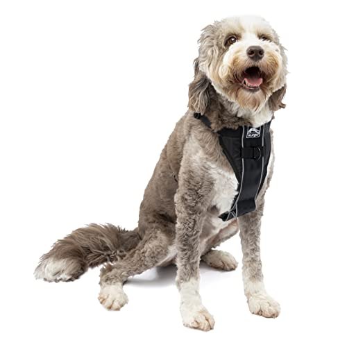 Kurgo Tru-Fit Smart Dog Harness