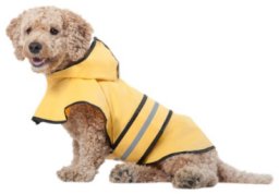 Fashion Pet