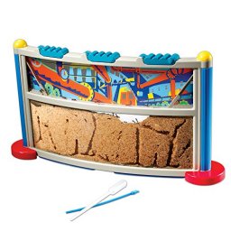 Educational Insights