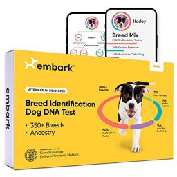 Embark