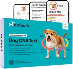 Embark