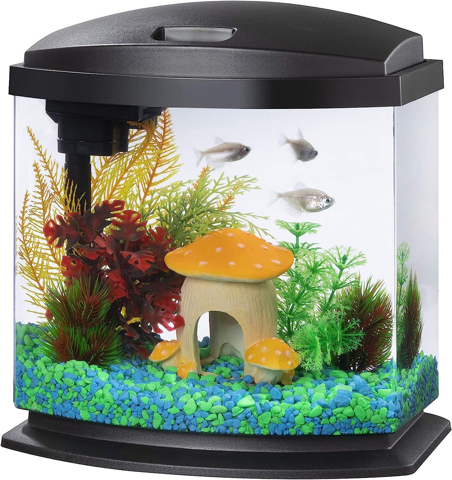 Aqueon LED MiniBow Small Aquarium Fish Tank Kit with SmartClean Technology