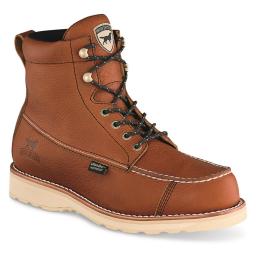 Irish Setter
