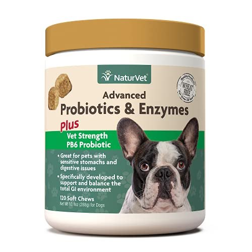 NaturVet Advanced Probiotics &amp; Enzymes Cat &amp; Dog Supplement