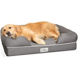 PetFusion