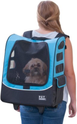 Pet Gear
