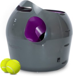 PetSafe