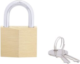 Amazon Basics