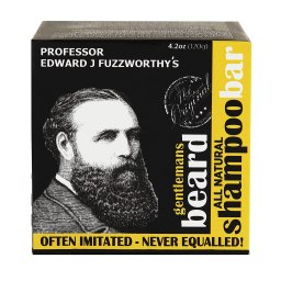 Professor Fuzzworthy's